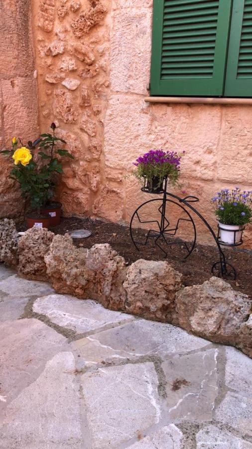 Petit * Algaida (Mallorca)